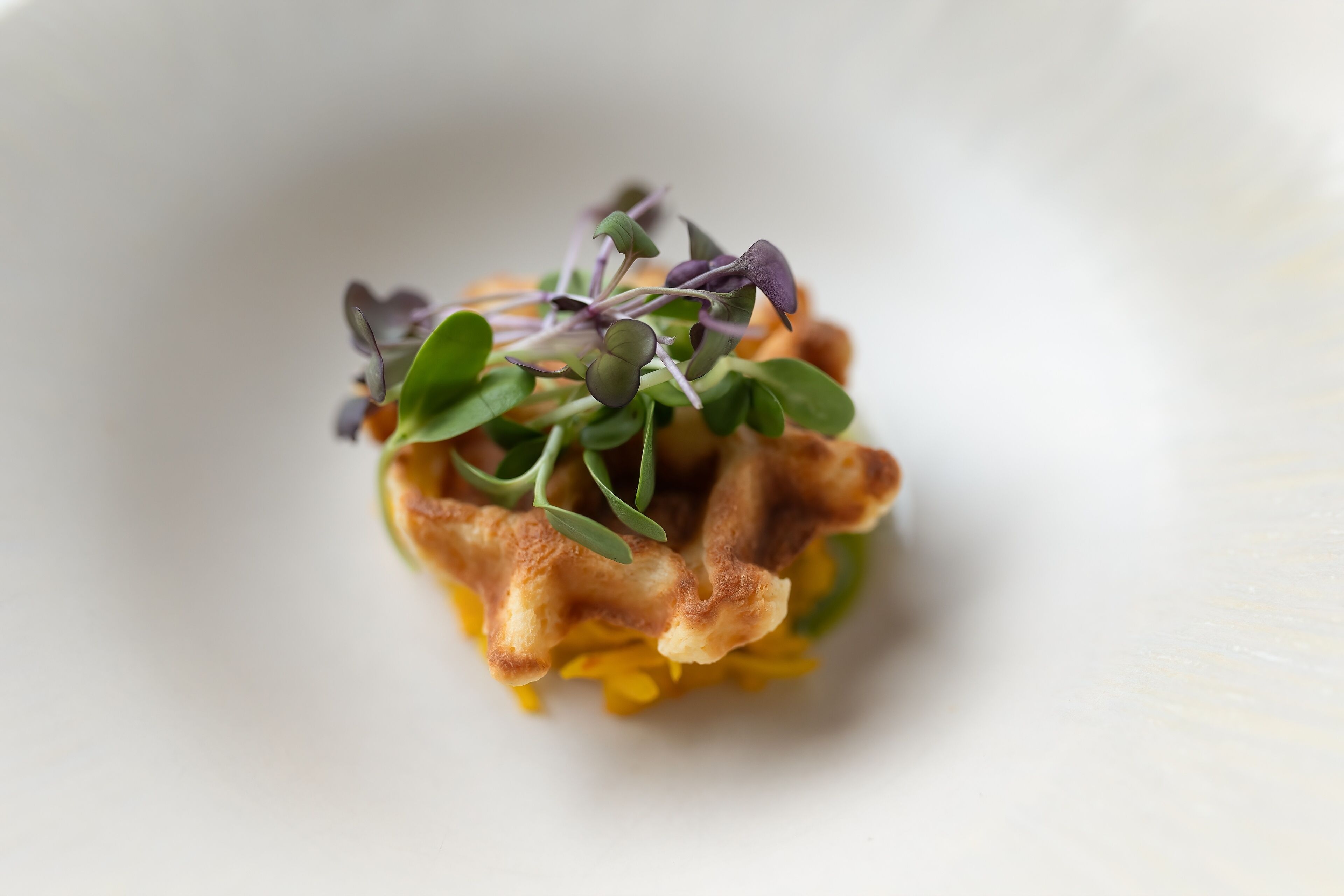 A close-up of a dish with a crispy edge, possibly a waffle or pastry, topped with green leaves and a yellow base.