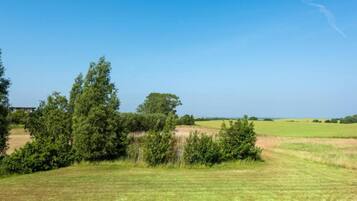 A grassy field with trees and a clear sky.