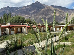 Property grounds - The Walnut Inn Resort (Hunder)