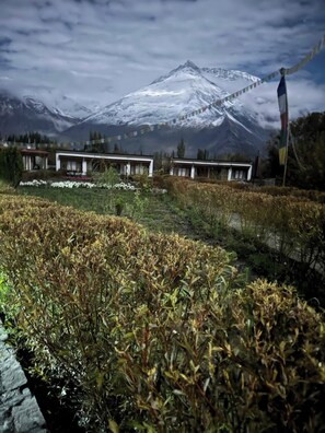 المنطقة المحيطة بالمنشأة