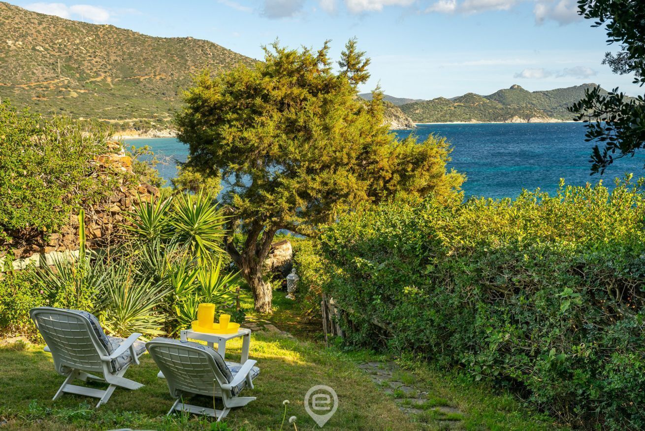 A garden with two chairs, a small table, and a tree.
