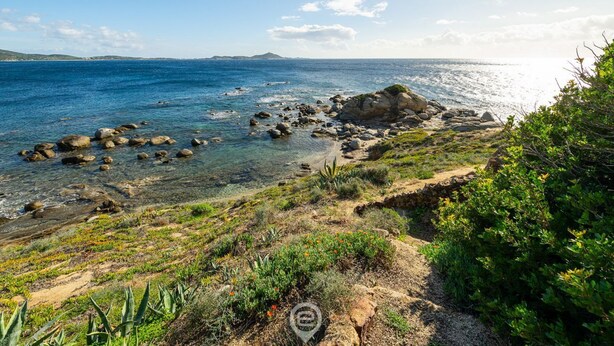 Ett kustlandskap med klart vatten, en stenig strand och gles vegetation.