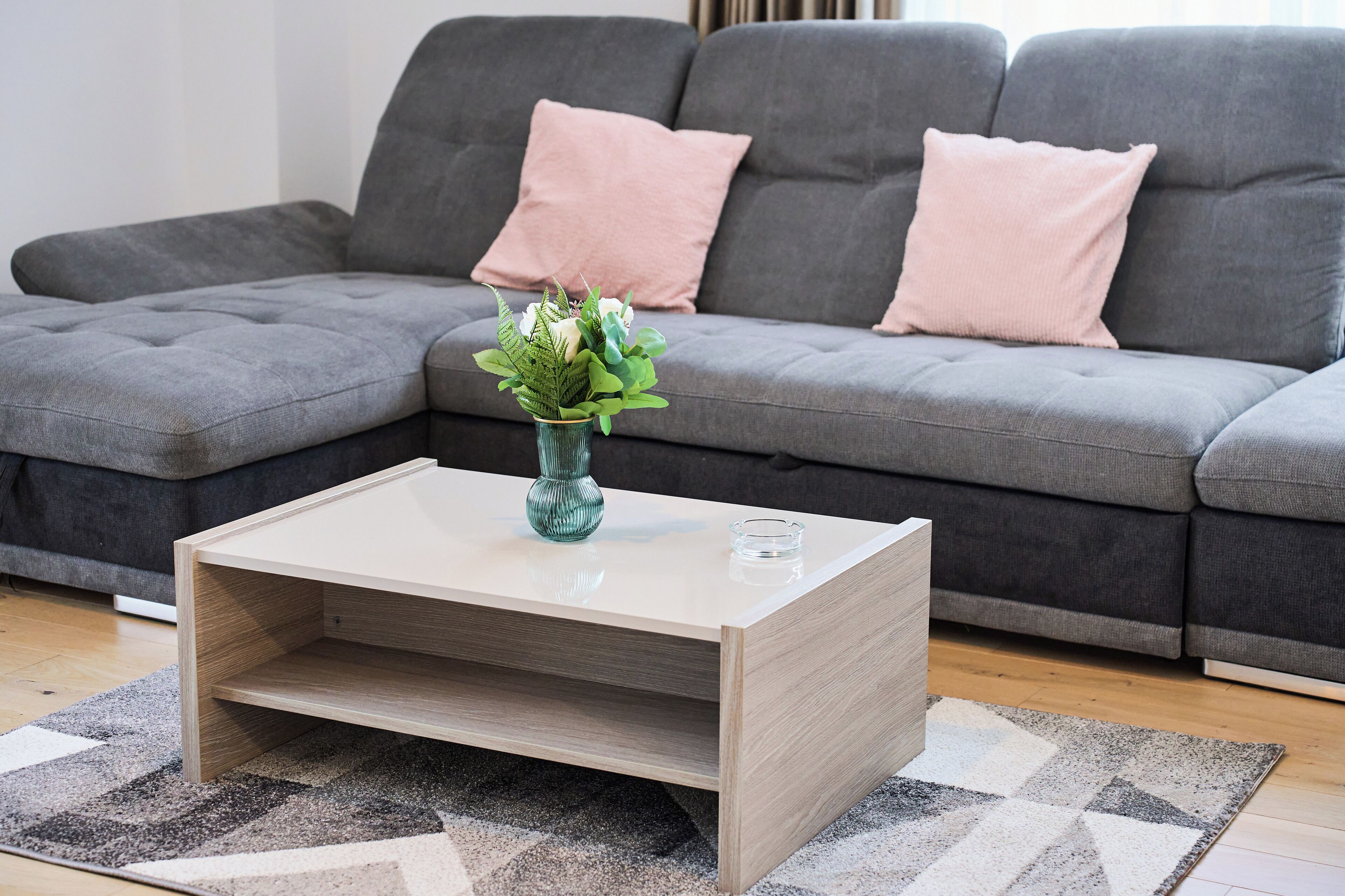 디럭스 아파트, 강 전망 | 거실 공간