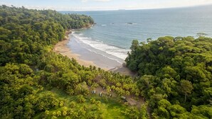 Vista aérea de una playa bordeada por abundante vegetación tropical.
