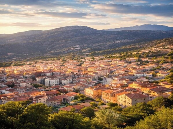 Une vue panoramique d’une ville, avec des bâtiments et des collines en arrière-plan.