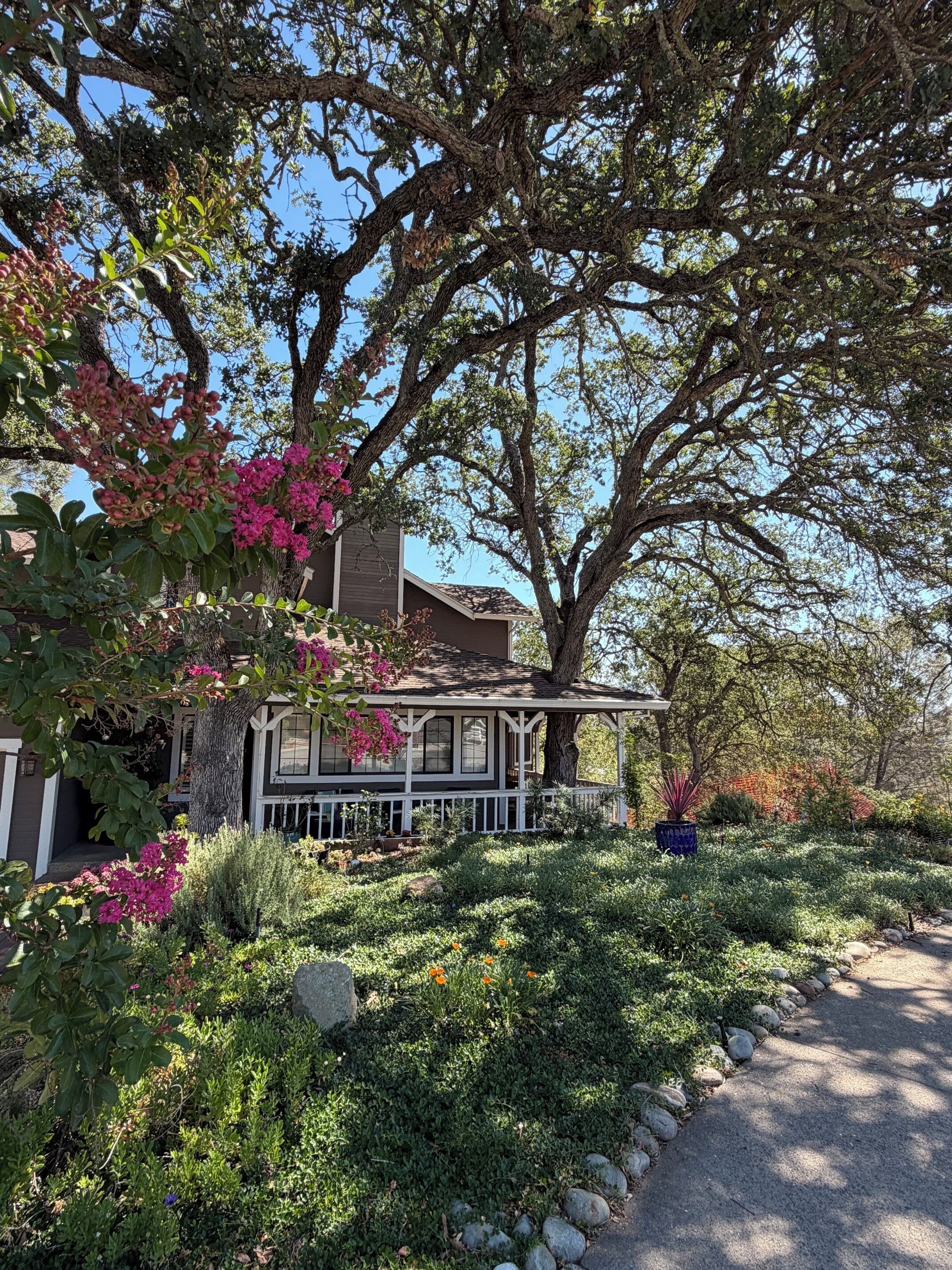 A house with a covered porch, surrounded by a garden with various plants and flowers.