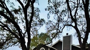 A house with a porch, a chimney, and a large tree in the yard. - Perfect 4-bedroom house near lakes and trails in Folsom (Folsom)