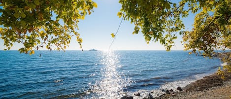 Apartment | View from property