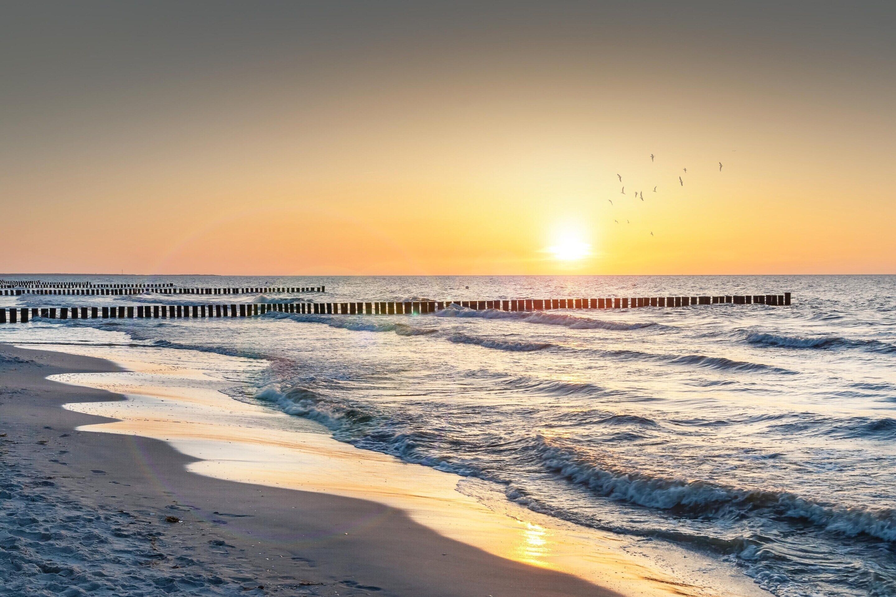 A beach with waves, a pier, and a sunset.
