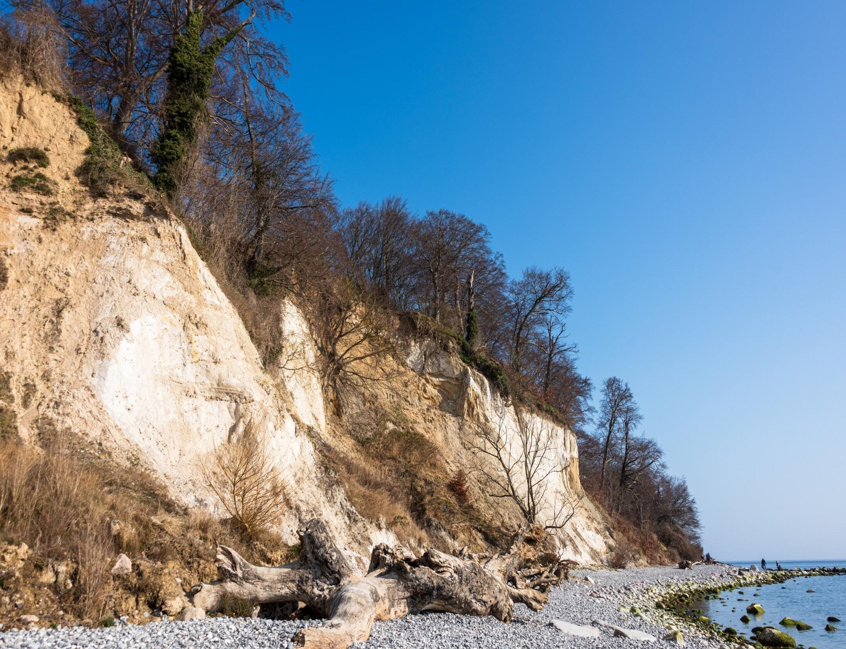 A rocky shoreline with a steep cliff, sparse vegetation, and a clear sky.