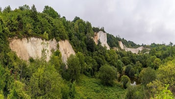 A natural landscape with cliffs and dense greenery.