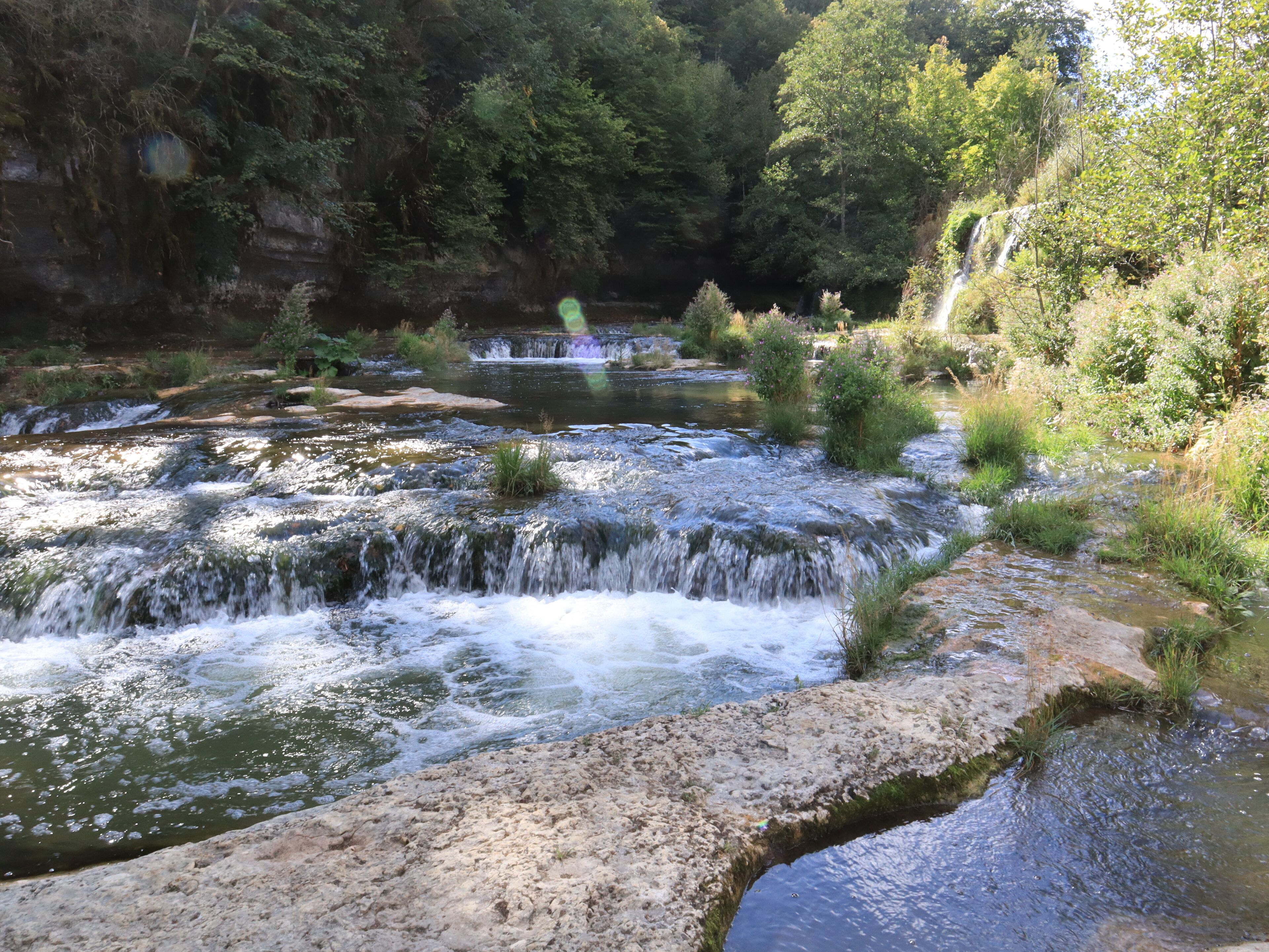 A natural water feature with a small waterfall, surrounded by greenery and rocks.
