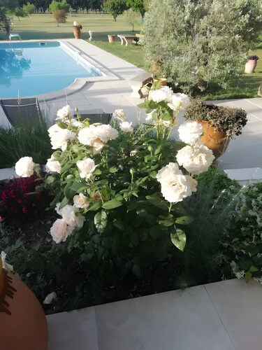 Holiday Home 'Gîte Giulia' with Shared Pool, Wi-Fi and Air Conditioning