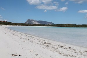 Una spiaggia nelle vicinanze