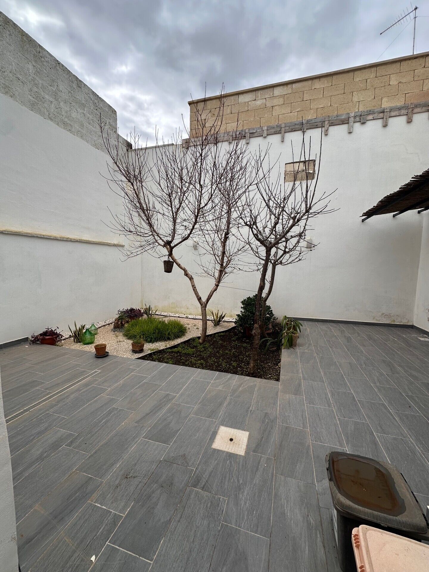 Parco della struttura