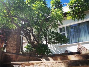 การตกแต่งภายนอก