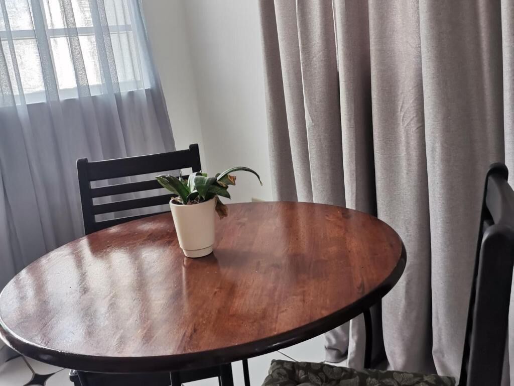 Una mesa redonda de madera con una planta en maceta, una silla y una ventana con cortinas.