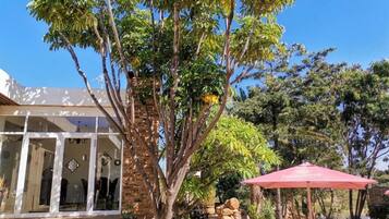 حمّام سباحة خارجي، مظلات على حمّام السباحة، مقاعد للتشمس