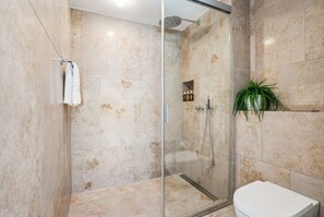 Ein modernes Badezimmer mit Duschkabine aus Glas, einer weißen Toilette und einer Topfpflanze.