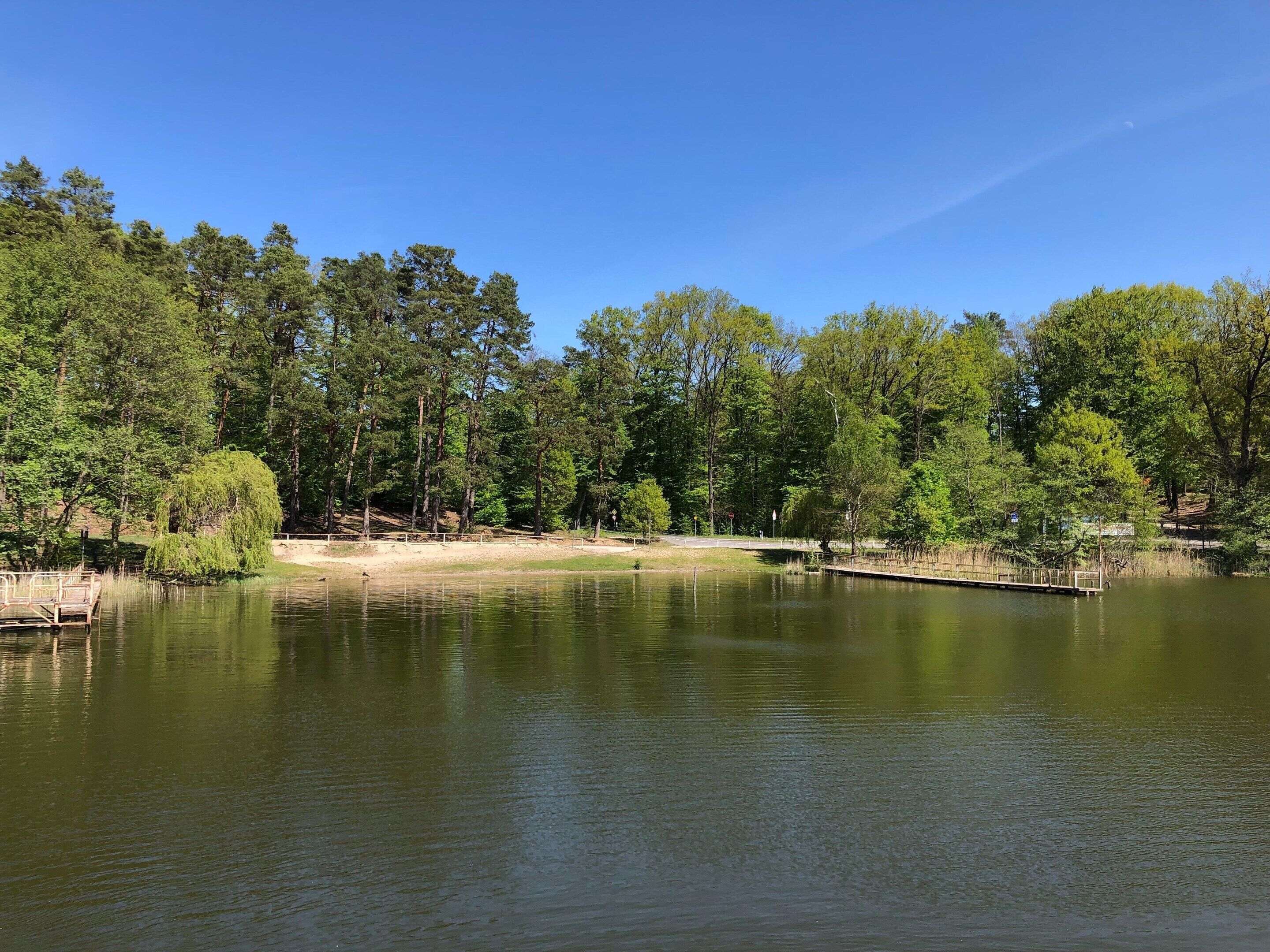 Un lac paisible, bordé d’une forêt dense, avec une jetée en bois et un ciel d’un bleu limpide.