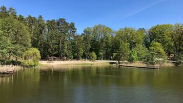 Un lago tranquillo circondato da alberi rigogliosi, un molo di legno e un cielo azzurro limpido.