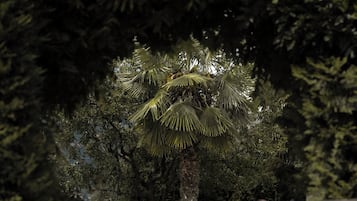Khu tắm nắng