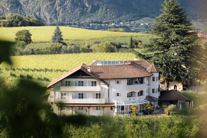Un immeuble à plusieurs étages, doté d’un toit en pente, entouré d’une végétation luxuriante et de vignobles.