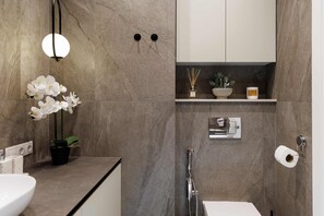 Douche, sèche-cheveux, serviettes fournies, shampoing