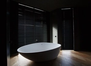 Regadera, secadora de cabello, shampoo 