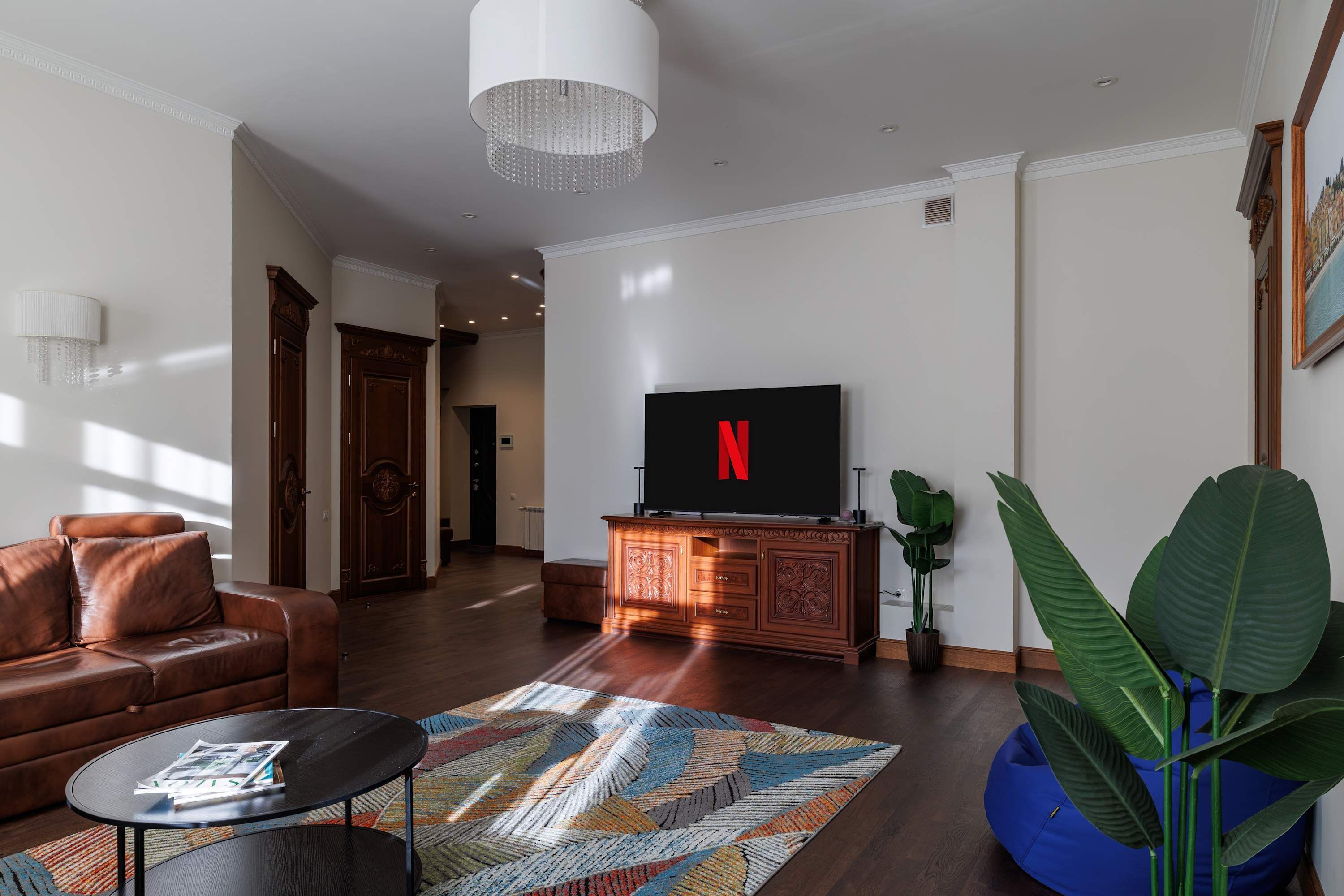 A modern living room with a leather sofa, a coffee table, a TV on a wooden cabinet, and a large plant.