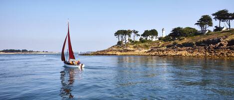 A sailboat on calm water with a rocky shoreline and trees in the background.