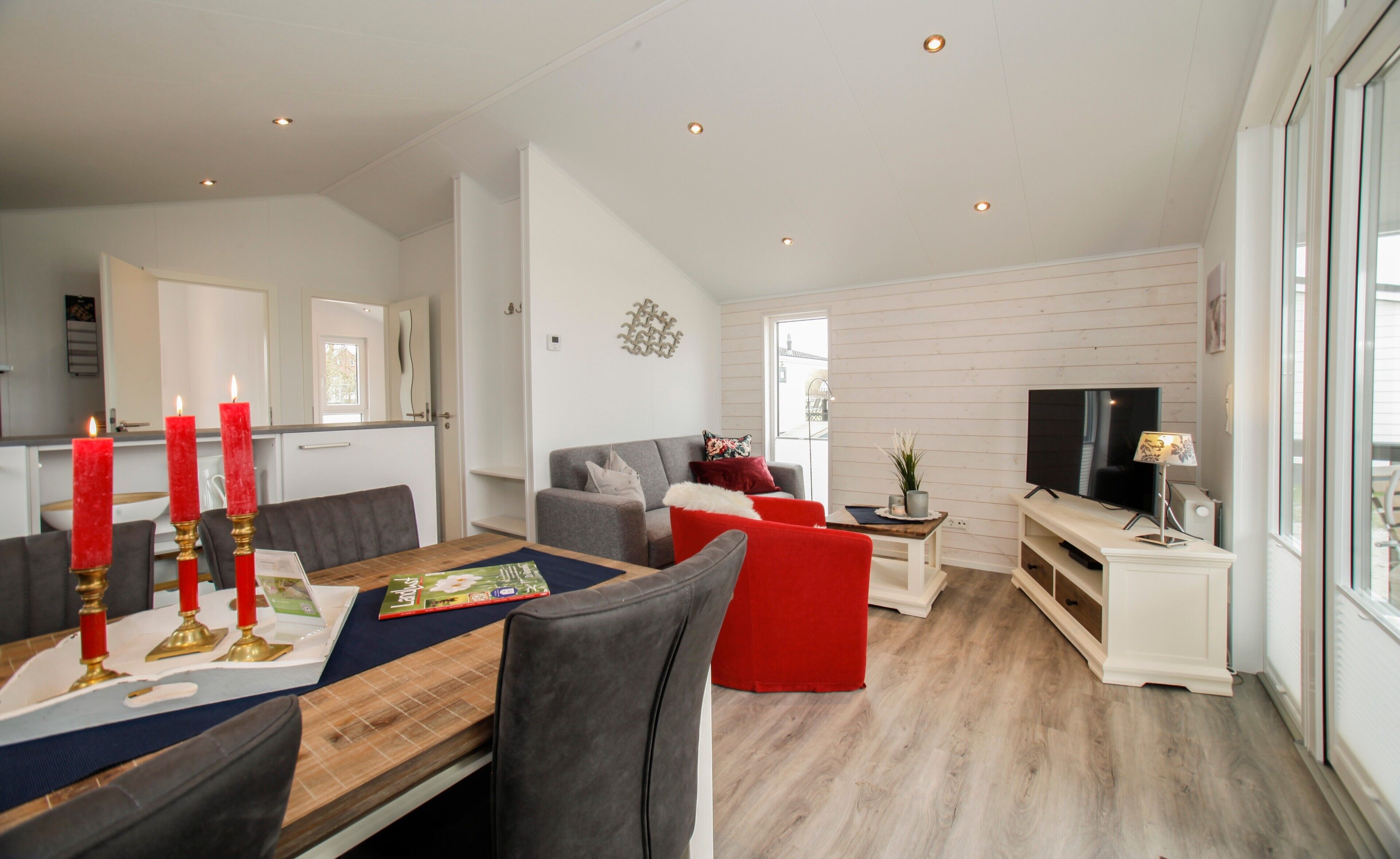 Televisión, reproductor de DVD, mesa de ping pong