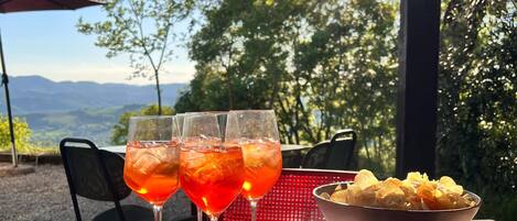 テラス / パティオ