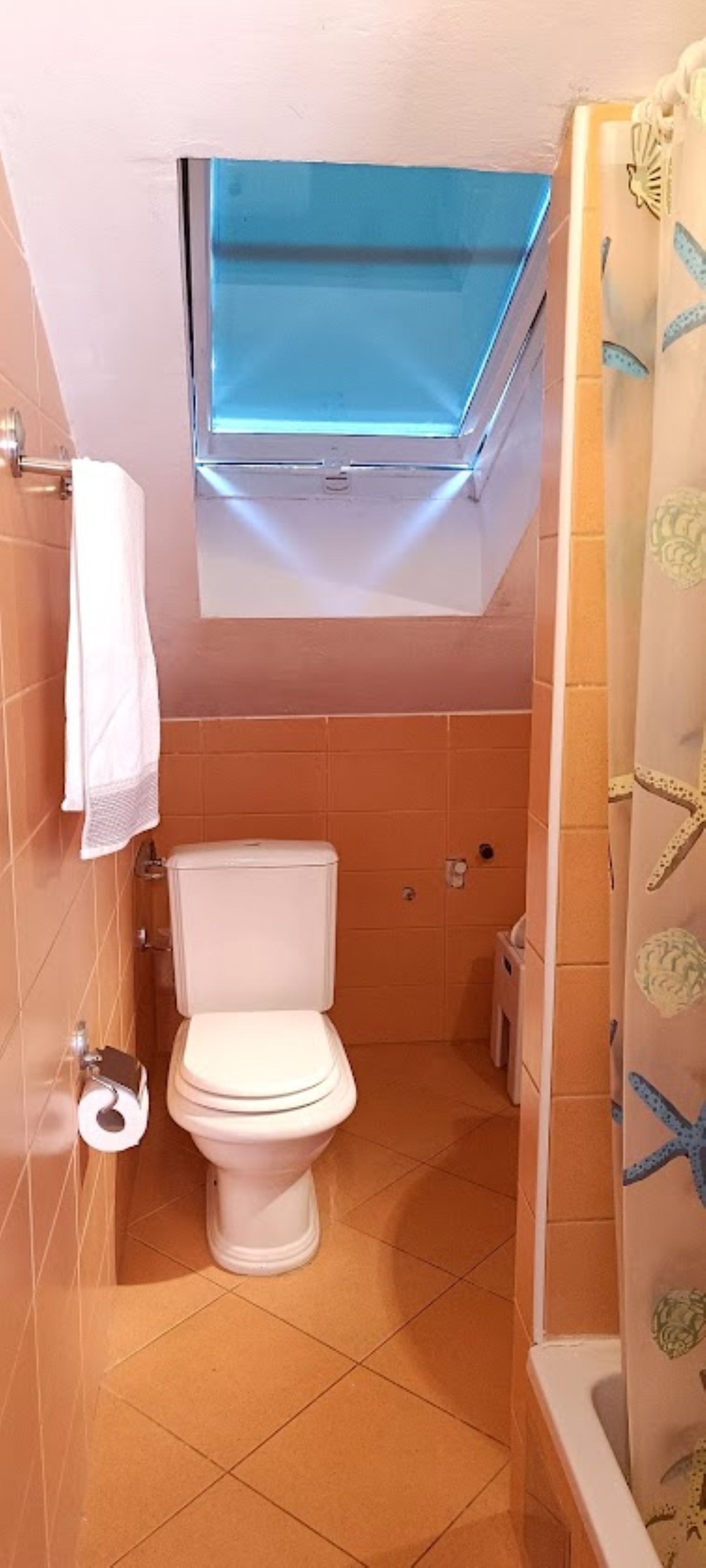 Un bagno con il water, un porta asciugamani, una tenda da doccia con decorazioni a stella marina e un lucernario sopra il water.