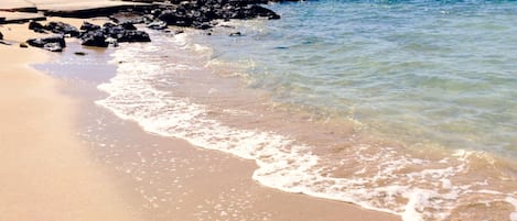 Appartement, 3 chambres, balcon, vue jardin | Plage