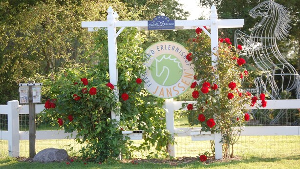 Um sinal com os textos 'Land Selection' e 'Land Erlebnisauswahl', rodeado por uma cerca branca, rosas vermelhas e uma escultura de metal em formato de cavalo.