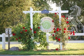 Une pancarte portant les inscriptions « Land Selection » et « Land Erlebnisauswahl », entourée d’une clôture blanche, de roses rouges et d’une sculpture équestre en métal.