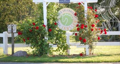 Ferienhaus auf Ferienhof Janssen mit privater Terrasse, Garten und WLAN