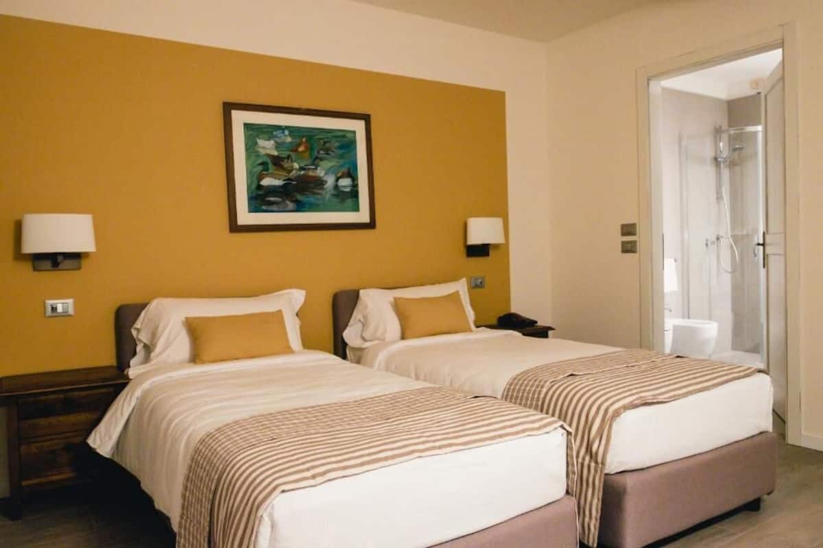 Habitación de hotel con dos camas, un cuadro en la pared y zona de ducha.