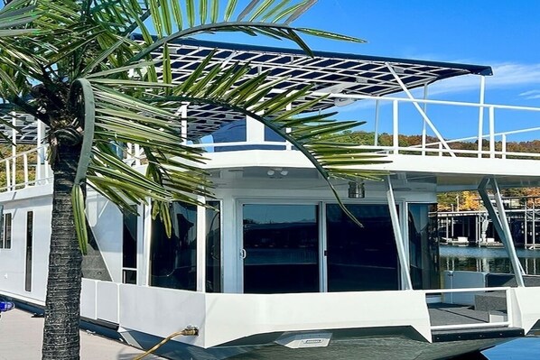 Un barco moderno con cubierta protegida, amplias ventanas y una palmera en primer plano.