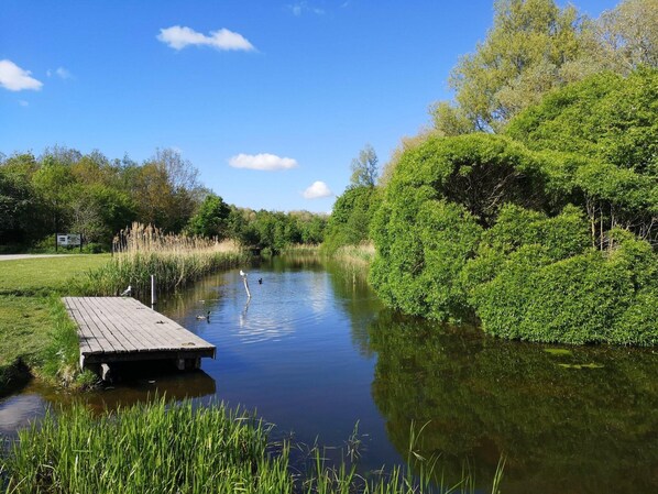 A calm river with a wooden dock, surrounded by lush greenery and trees.