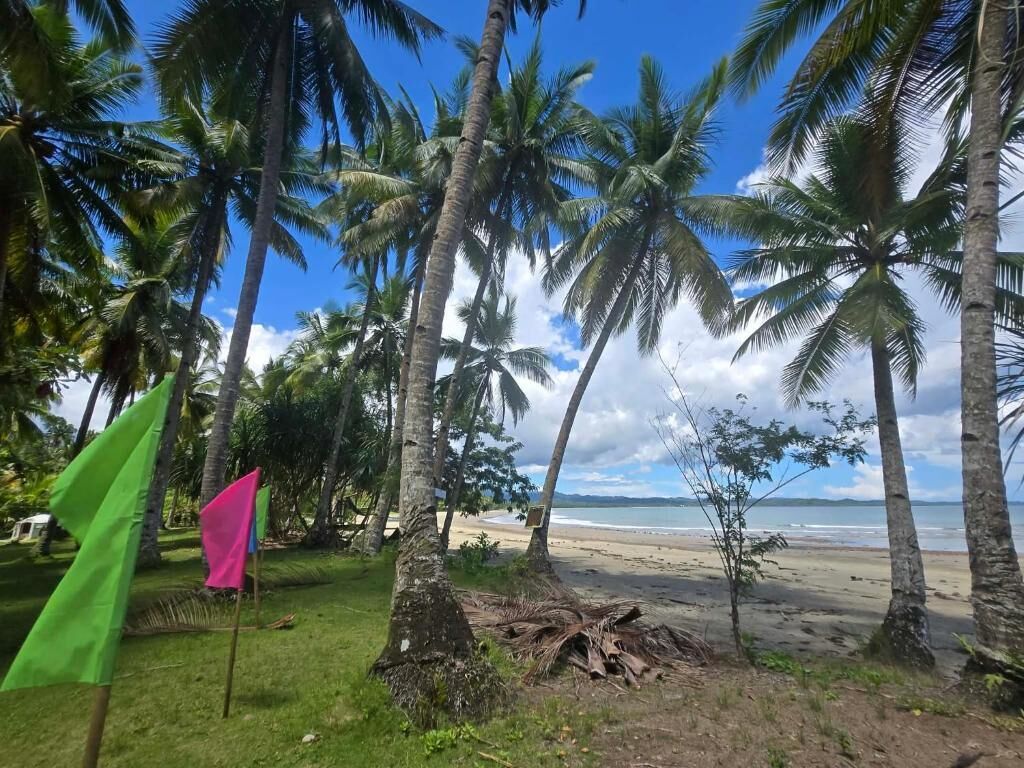 On the beach, white sand, sun loungers, beach umbrellas