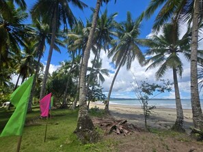Ein Strand mit Palmen und blauem Himmel.