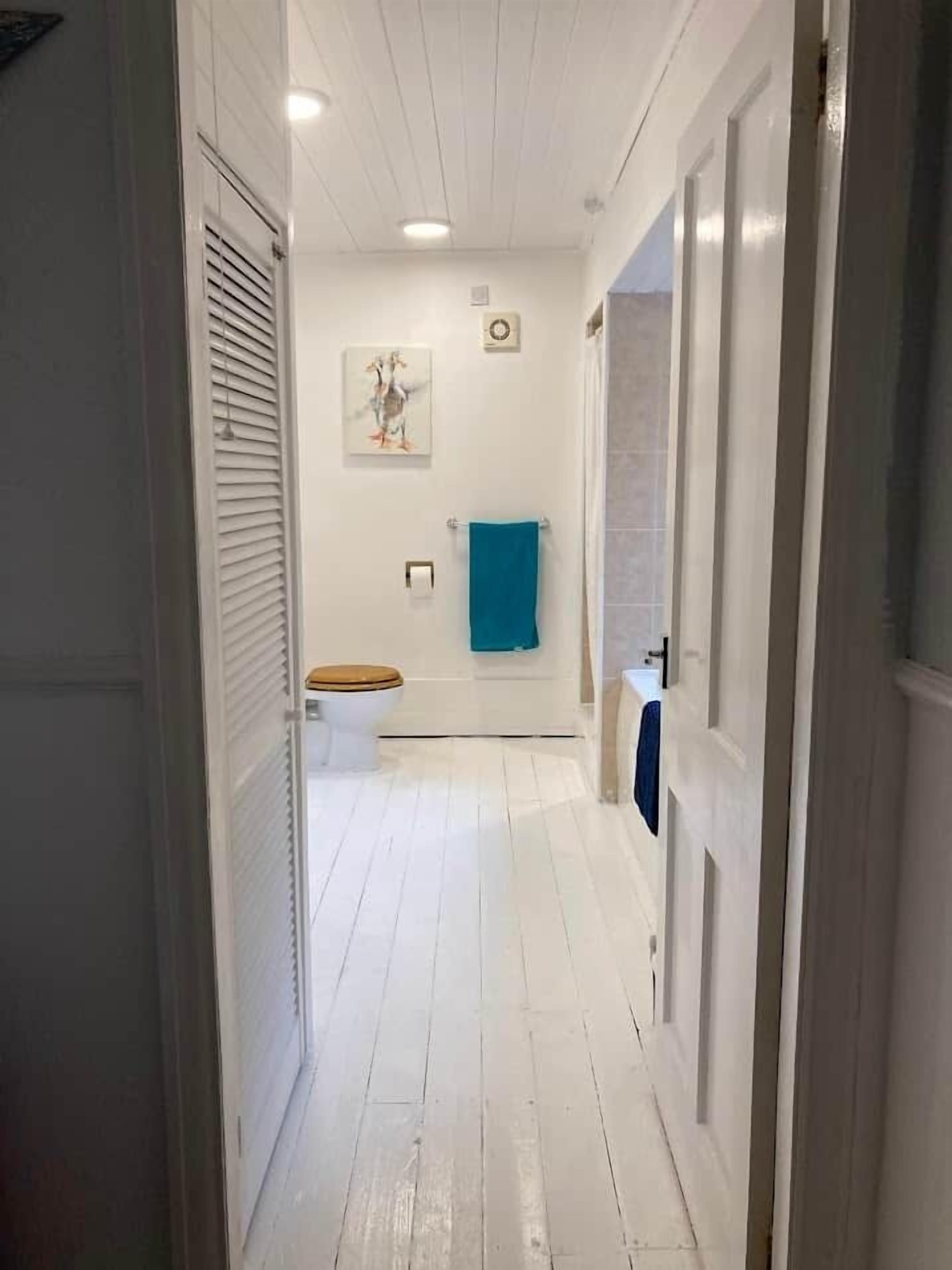 A narrow hallway with a toilet, a towel rack, and a painting on the wall.