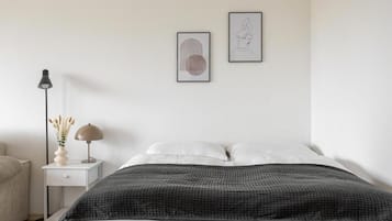 Laptop workspace, iron/ironing board, free WiFi