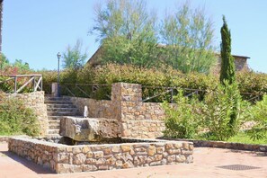 Property grounds - Casalappi two-bedroom 3-bedroom apartment in hamlet with pool (Campiglia Marittima)