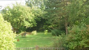Un jardin avec une pelouse, une clôture en bois et un banc.