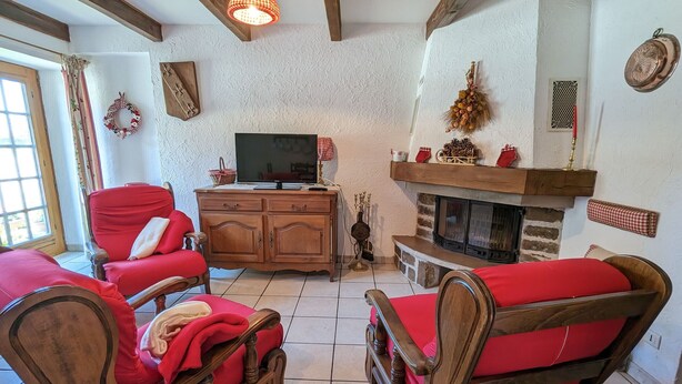 Un salon chaleureux avec une cheminée, des meubles en bois et un téléviseur.
