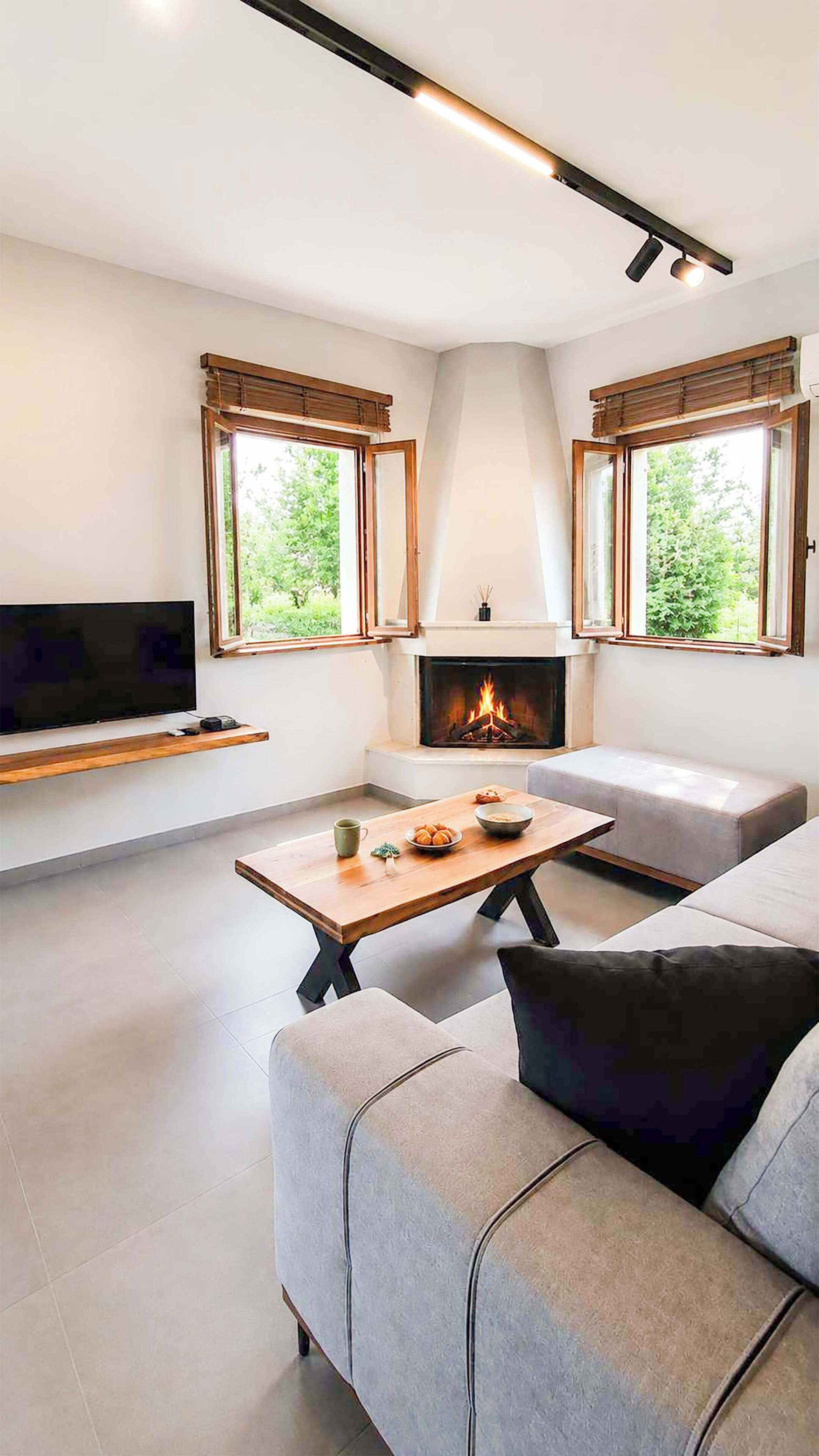 Un salon moderne avec une cheminée, un téléviseur à écran plat et un canapé.