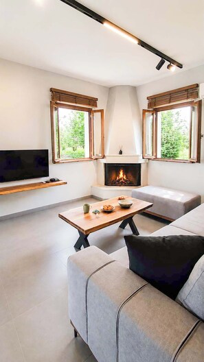 Ein modernes Wohnzimmer mit Kamin, Flachbildfernseher und einer Couch.